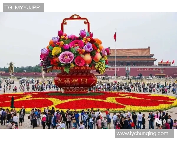 南京排球队在联合会杯中的辉煌突破与奋斗历程全景回顾