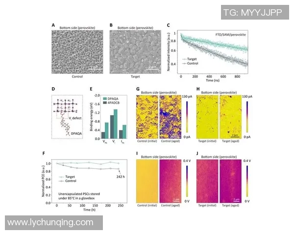 南京排球队速度对比分析揭示团队优势与潜力的深度解读