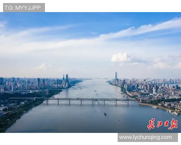 武汉篮球队的奋斗历程与荣耀时刻全景回顾